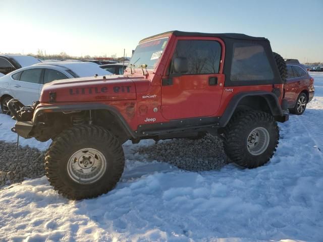 2003 Jeep Wrangler / TJ Sport