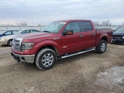 Ford f150 Supercrew salvage cars for sale: 2013 Ford F150 Supercrew