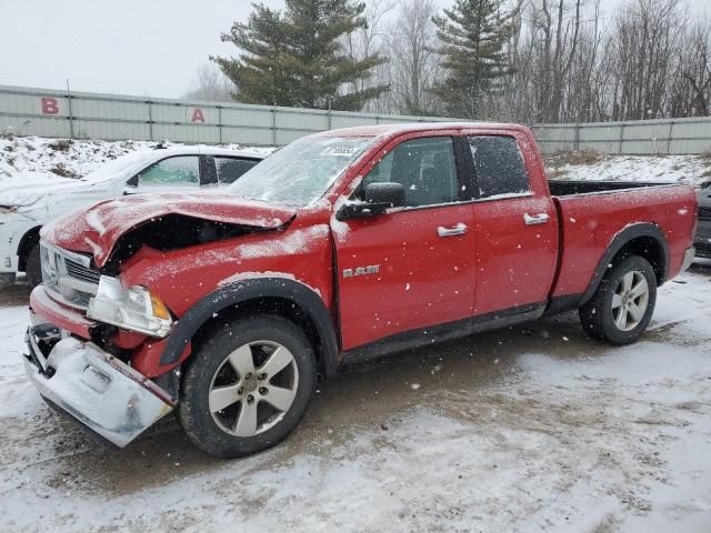 2010 Dodge RAM 1500