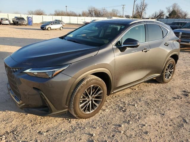 2024 Lexus NX 350 Premium