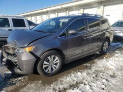 Honda salvage cars for sale: 2014 Honda Odyssey EXL