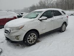 Chevrolet Equinox Vehiculos salvage en venta: 2019 Chevrolet Equinox LT