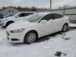 Ford Vehiculos salvage en venta: 2016 Ford Fusion SE Hybrid