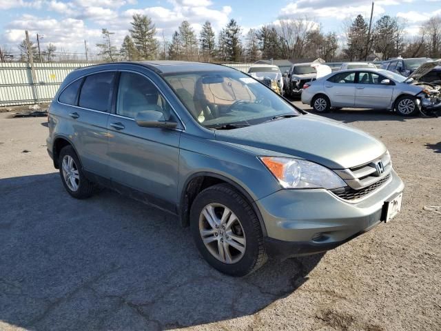 2010 Honda CR-V EXL