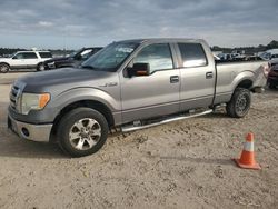 Salvage cars for sale from Copart Houston, TX: 2009 Ford F150 Supercrew