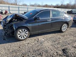 Honda Accord exl Vehiculos salvage en venta: 2013 Honda Accord EXL