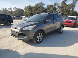 Salvage cars for sale at Ocala, FL auction: 2014 Ford Escape SE