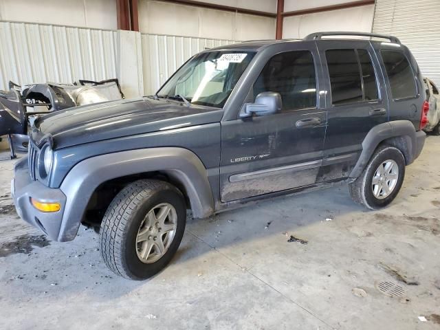 2002 Jeep Liberty Sport