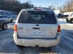 2005 Ford Escape Limited