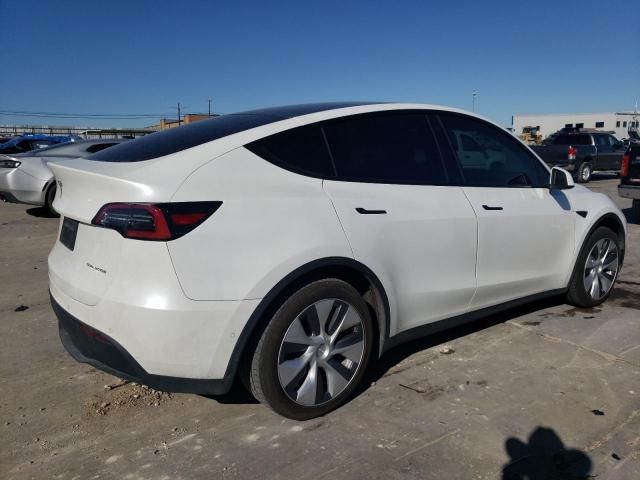 2020 Tesla Model Y