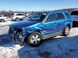 Salvage cars for sale at Cahokia Heights, IL auction: 2011 Ford Escape XLT