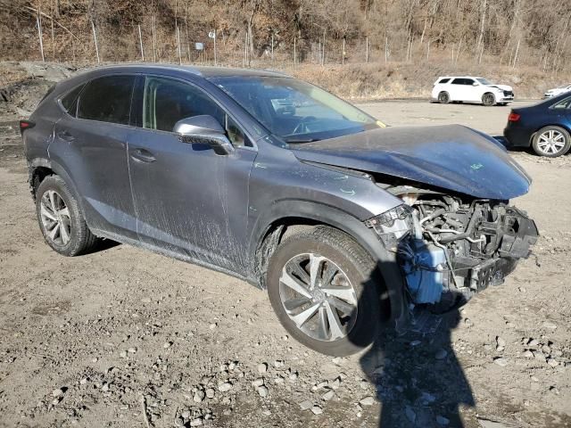 2019 Lexus NX 300 Base