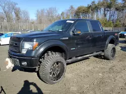 Salvage trucks for sale at Waldorf, MD auction: 2012 Ford F150 Supercrew