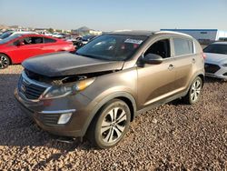 Salvage cars for sale at Phoenix, AZ auction: 2013 KIA Sportage EX