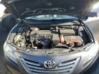 2009 Toyota Camry Hybrid