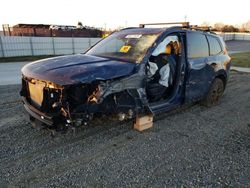 Salvage cars for sale at Antelope, CA auction: 2024 KIA Telluride SX