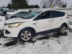 Salvage cars for sale at Finksburg, MD auction: 2013 Ford Escape SE