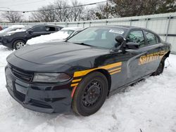 Salvage cars for sale at Moraine, OH auction: 2019 Dodge Charger Police