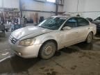 2002 Nissan Altima SE