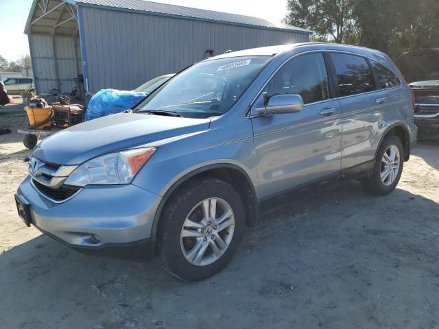 2010 Honda CR-V EXL