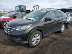 Vehiculos salvage en venta de Copart Brighton, CO: 2014 Honda CR-V EXL