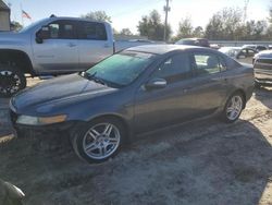 Salvage cars for sale at Midway, FL auction: 2008 Acura TL