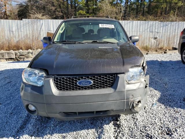 2007 Ford Escape XLT