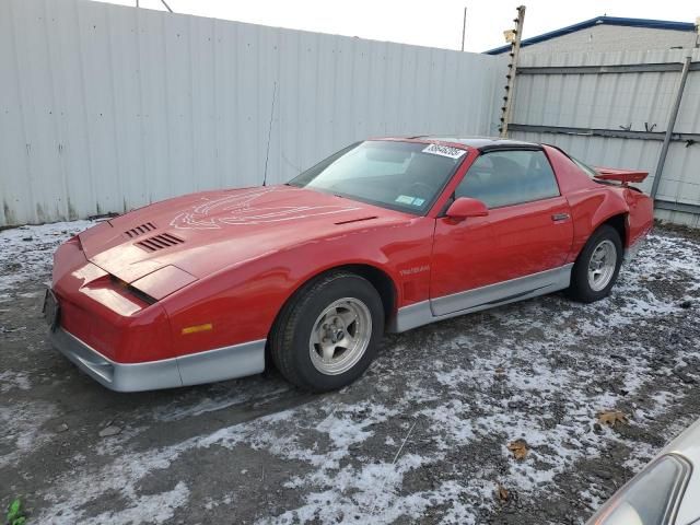 1987 Pontiac Firebird Trans AM