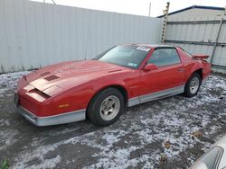 Salvage cars for sale at Albany, NY auction: 1987 Pontiac Firebird Trans AM