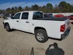 2005 Dodge Dakota Quad SLT