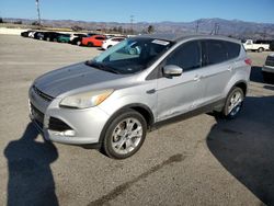 Salvage cars for sale at Van Nuys, CA auction: 2013 Ford Escape SEL