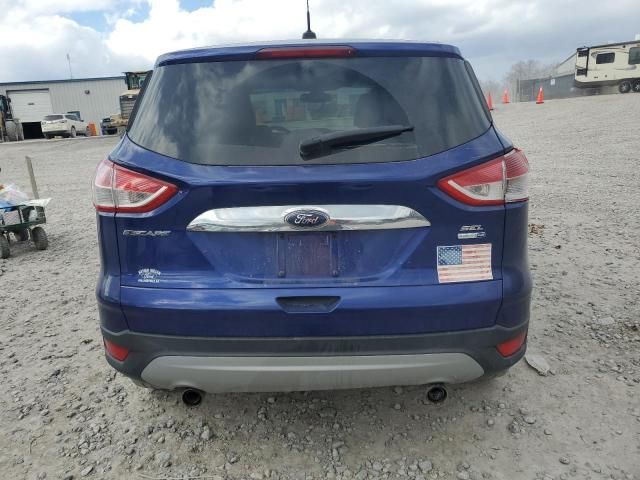 2013 Ford Escape SEL