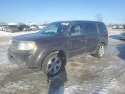 Honda Pilot salvage cars for sale: 2013 Honda Pilot Exln