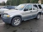 2005 Ford Escape XLT