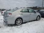 2010 Lexus HS 250H