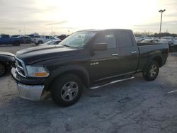 Dodge salvage cars for sale: 2010 Dodge RAM 1500