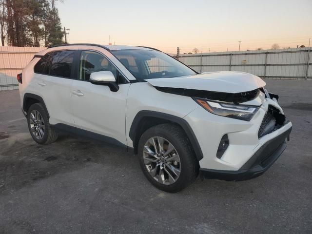 2023 Toyota Rav4 XLE Premium