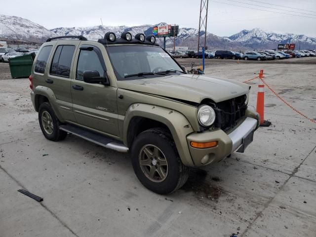 2002 Jeep Liberty Renegade