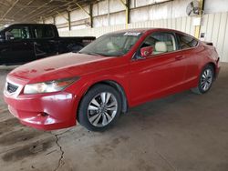 Honda salvage cars for sale: 2008 Honda Accord EXL