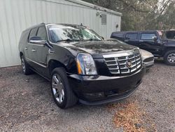 2010 Cadillac Escalade ESV Premium en venta en Midway, FL