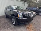 2010 Cadillac Escalade ESV Premium