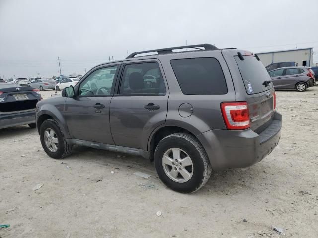 2009 Ford Escape XLT