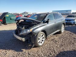 Salvage cars for sale at Phoenix, AZ auction: 2010 Lexus RX 350