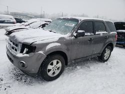 Vehiculos salvage en venta de Copart Louisville, KY: 2011 Ford Escape XLS