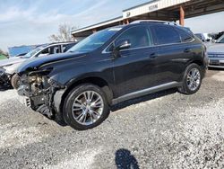 Salvage cars for sale at Riverview, FL auction: 2013 Lexus RX 350