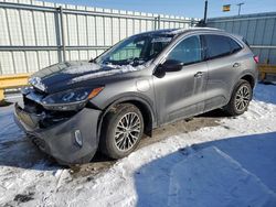 Salvage cars for sale at Dyer, IN auction: 2022 Ford Escape SEL