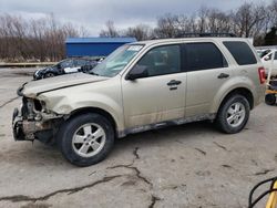 Ford Escape salvage cars for sale: 2012 Ford Escape XLT