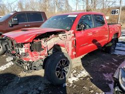 Salvage cars for sale at Marlboro, NY auction: 2023 Toyota Tacoma Double Cab