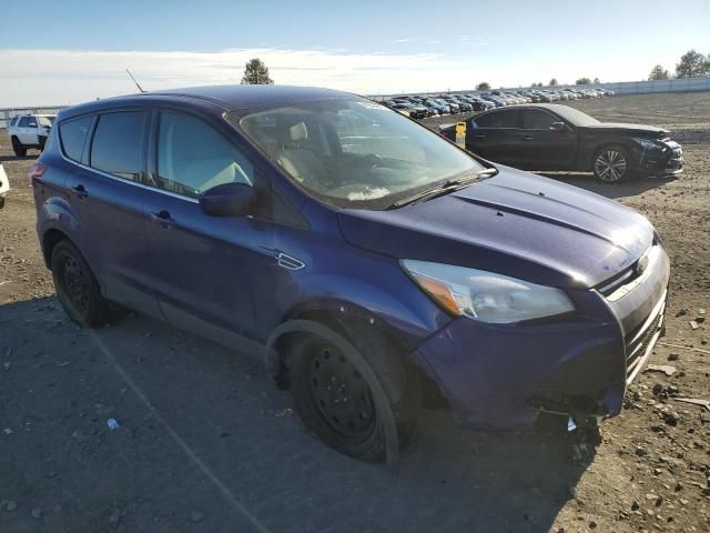 2013 Ford Escape SE