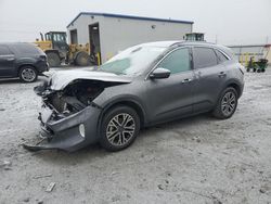 Salvage cars for sale at Airway Heights, WA auction: 2020 Ford Escape SEL